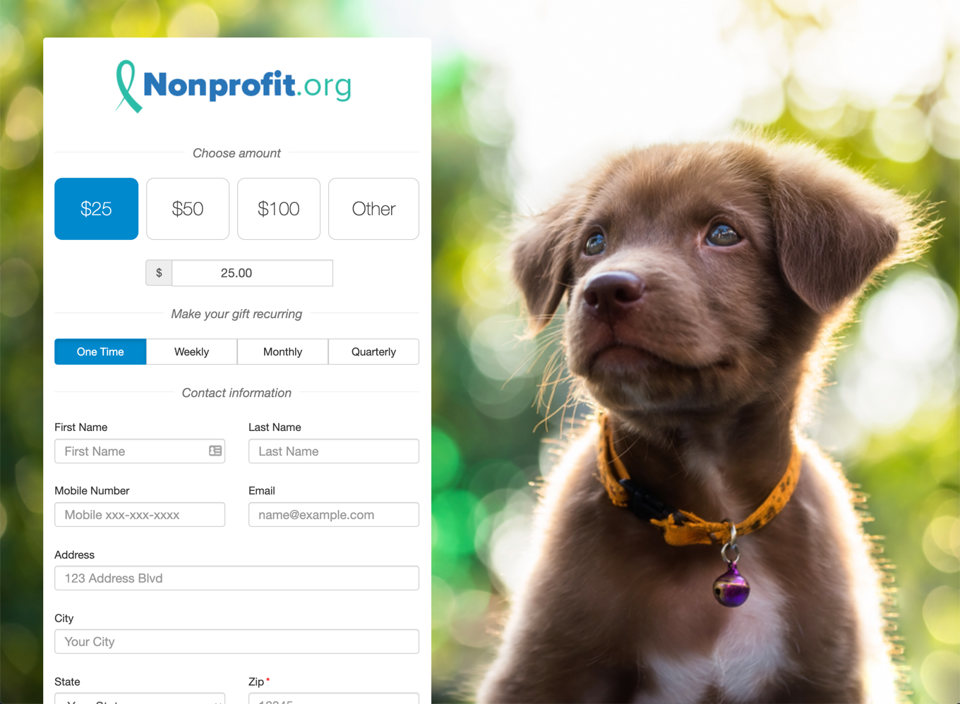 Donation Page Example