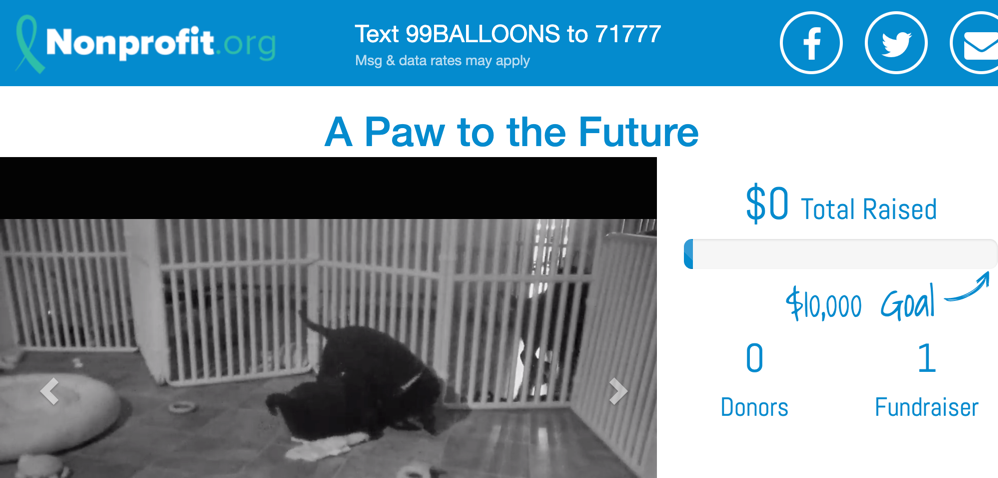 Text Above Carousel Fundraising Page Example