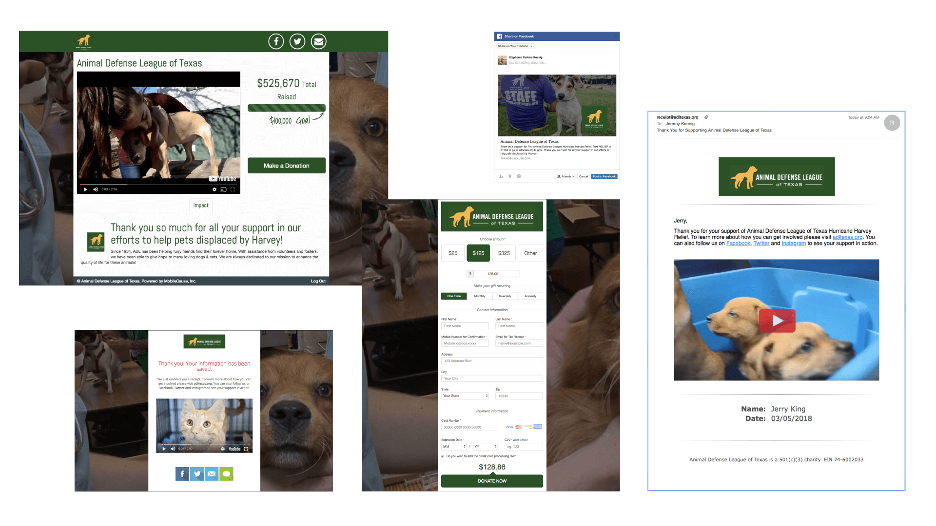 Animal Defense League Example