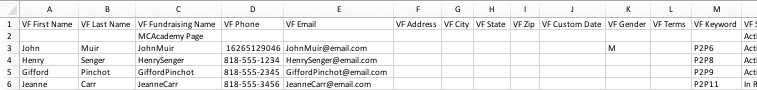 Volunteer Fundraiser Spreadsheet