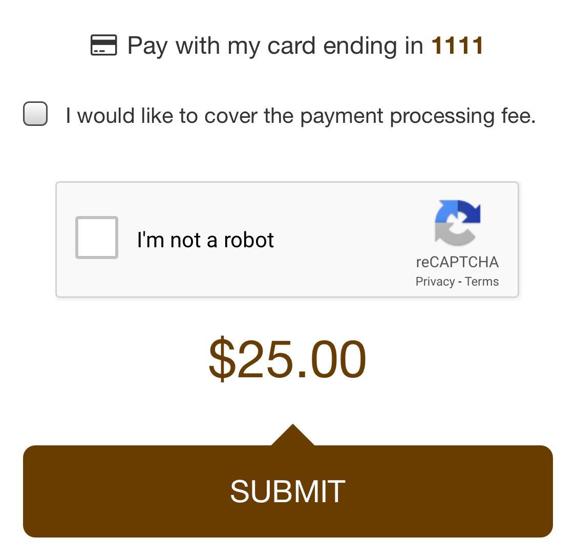 Credit Card Info Form Example