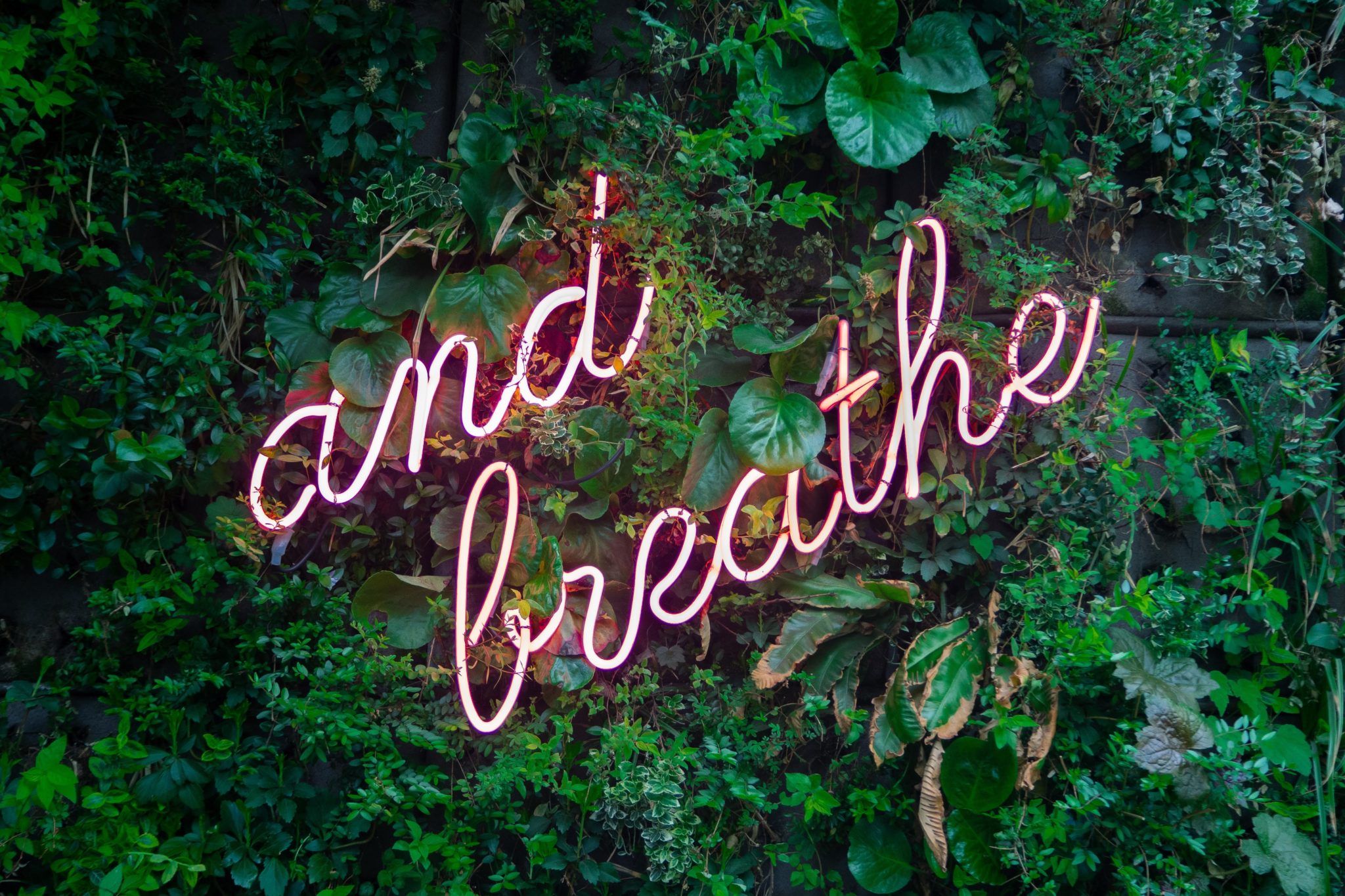 max-van-den-oetelaar-buymYm3RQ3U-unsplash max-van-den-oetelaar-buymYm3RQ3U-unsplash