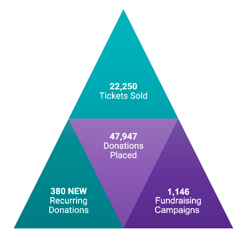 Fundraising-efforts-chart